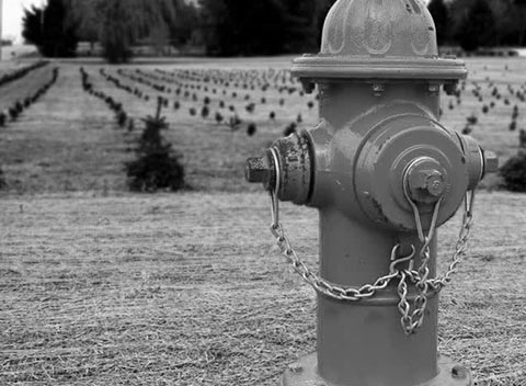 ddos服务器攻击手段